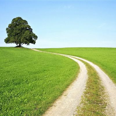 pg电子·模拟器(试玩游戏)app下载